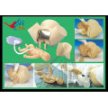 Advanced Delivery Integrated Skills Obstetrical Manikin,Midwifery Model